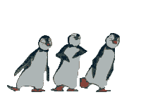 Anche i pinguini ballano